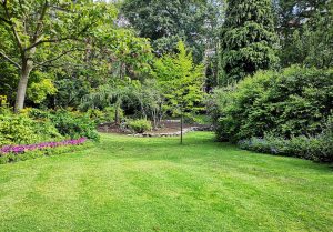 Optimiser l'expérience du jardin à Houdetot